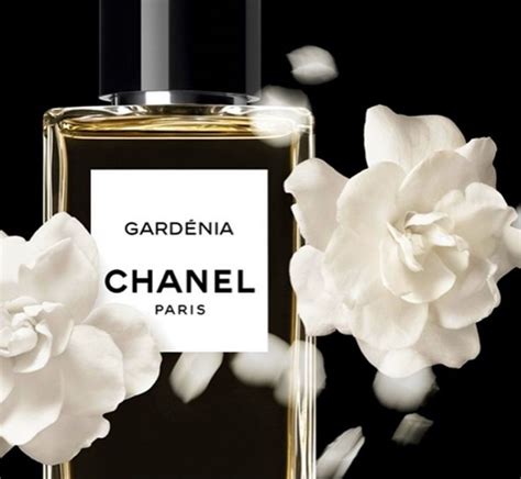 chanel gardenia|Chanel gardenia perfume.